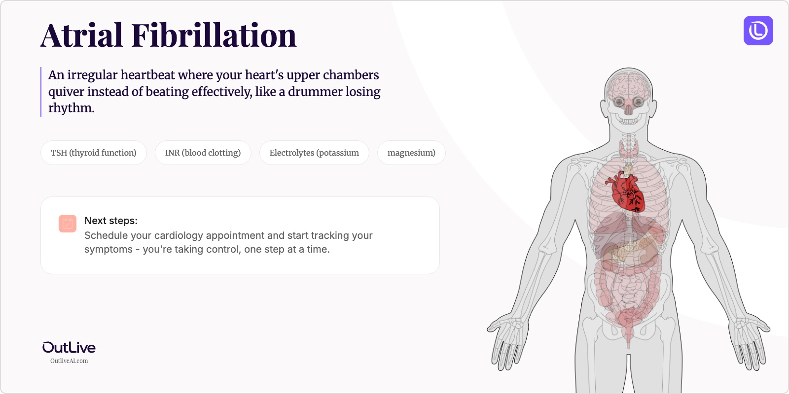 Just Diagnosed with Atrial Fibrillation: A Simple Guide