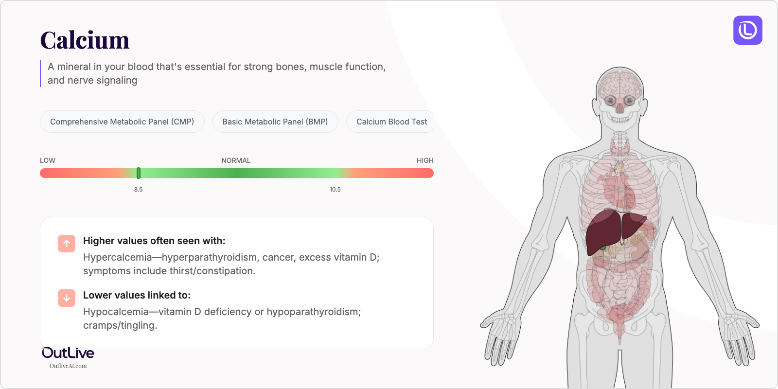 Understanding Your Calcium Test Results