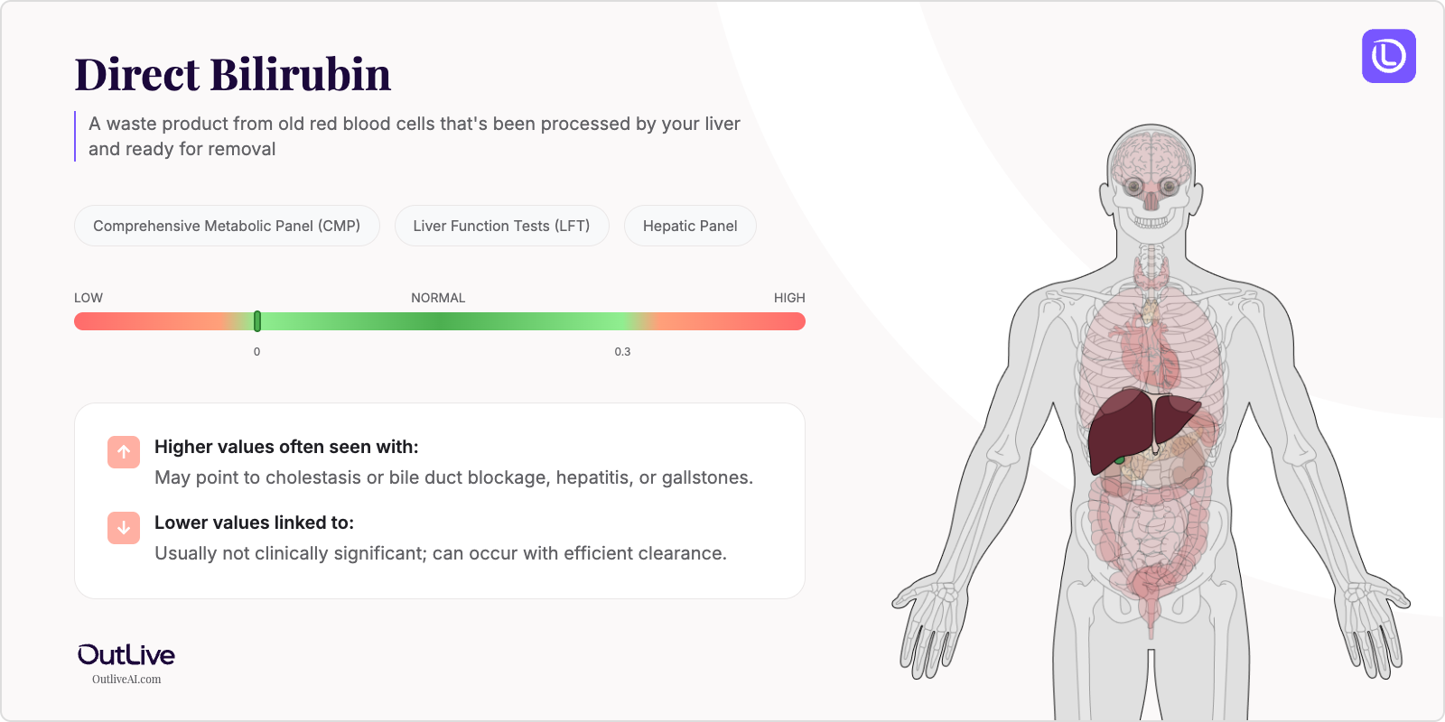 Understanding Your Direct Bilirubin Test Results