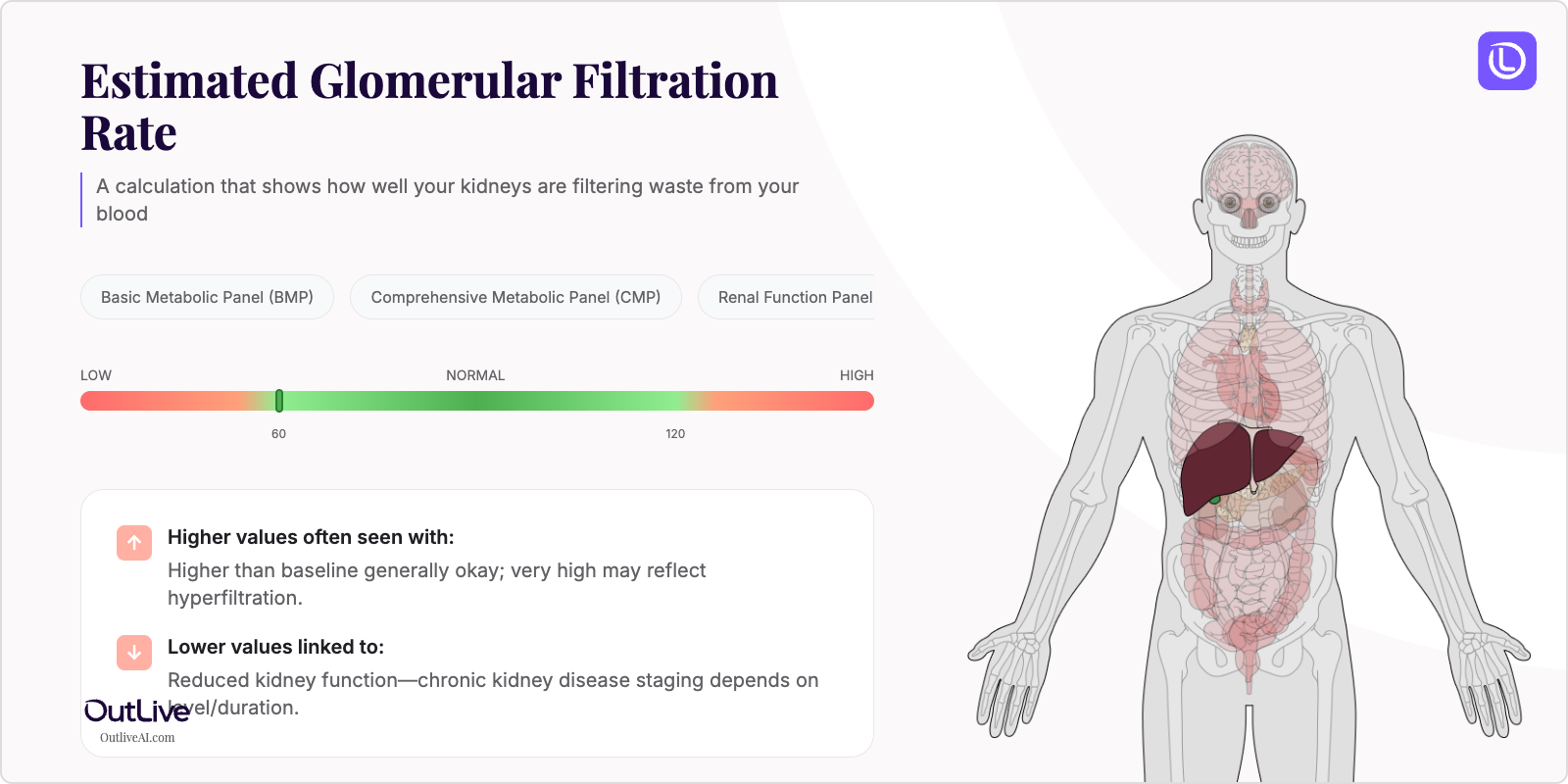 Understanding Your eGFR Test Results