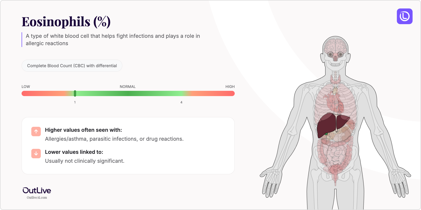 Understanding Your Eosinophils Test Results