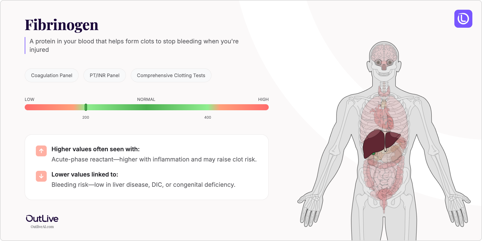 Understanding Your Fibrinogen Test Results