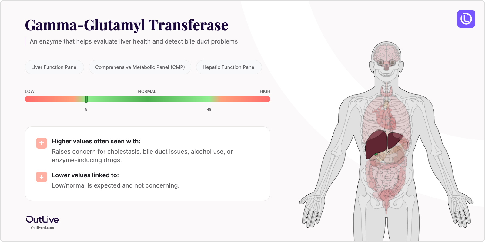 Understanding Your GGT Test Results