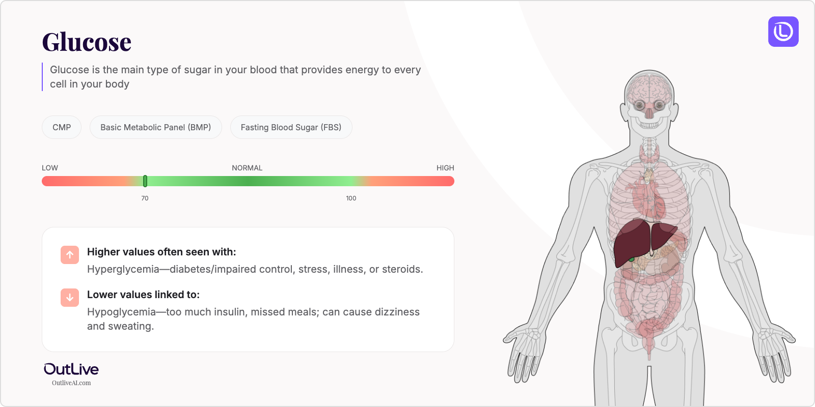 Understanding Your Glucose Test Results