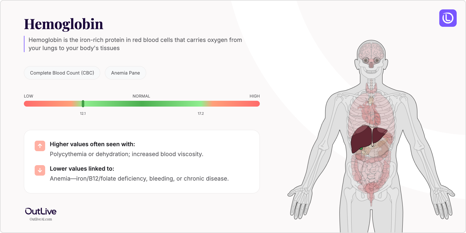 Understanding Your Hemoglobin (Hgb) Test Results