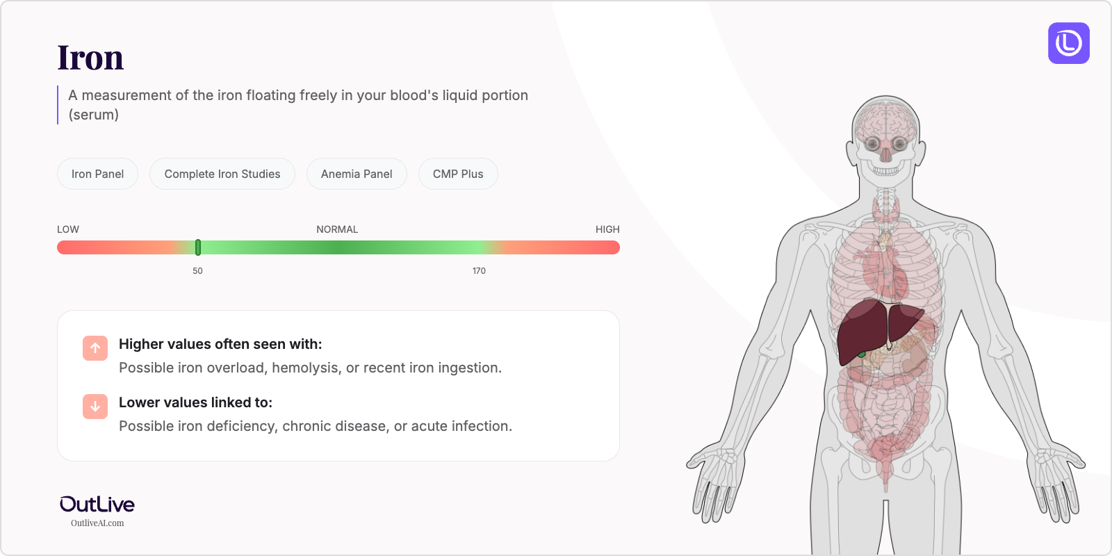 Understanding Your Serum Iron Test Results
