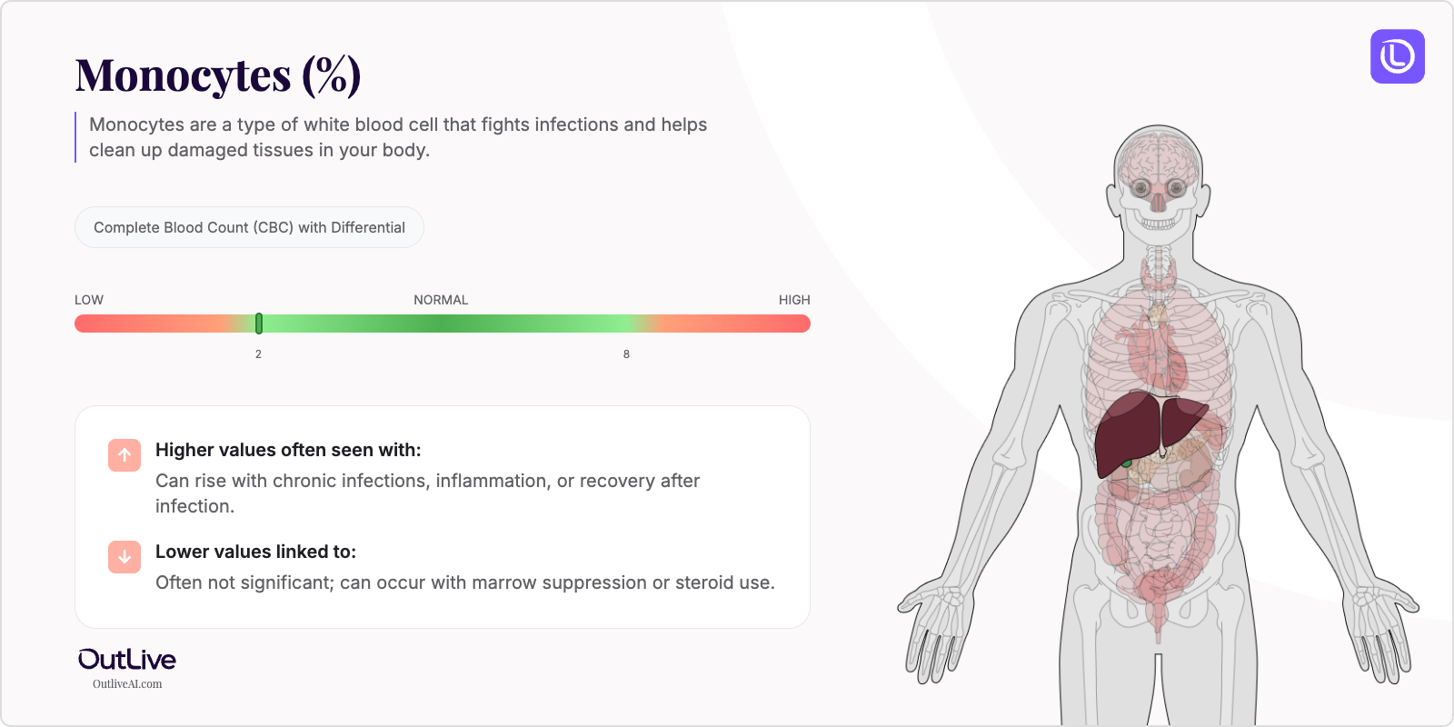 Understanding Your Monocytes Test Results