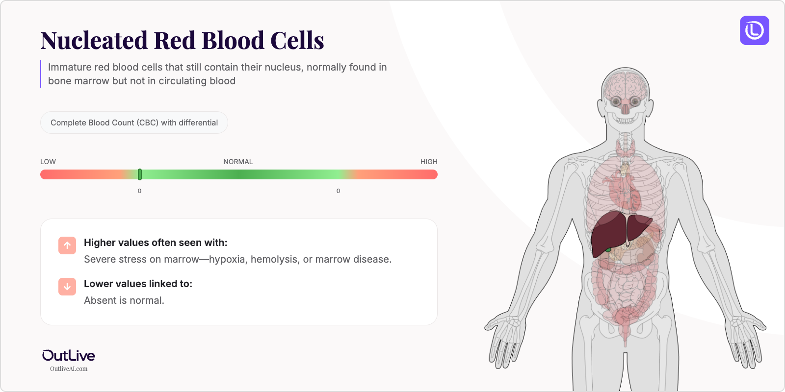 Understanding Your Nucleated RBCs Test Results