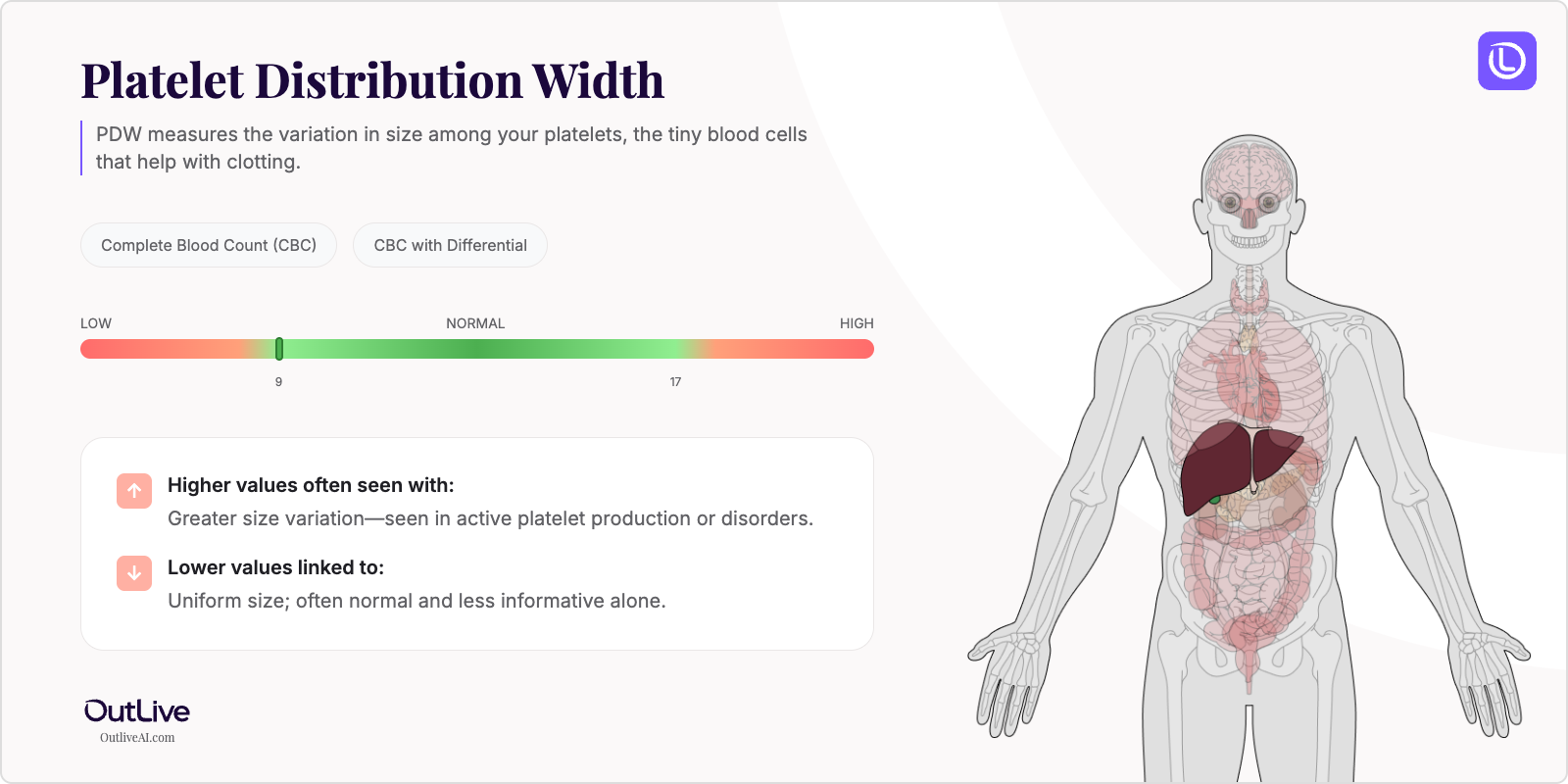 Understanding Your PDW Test Results