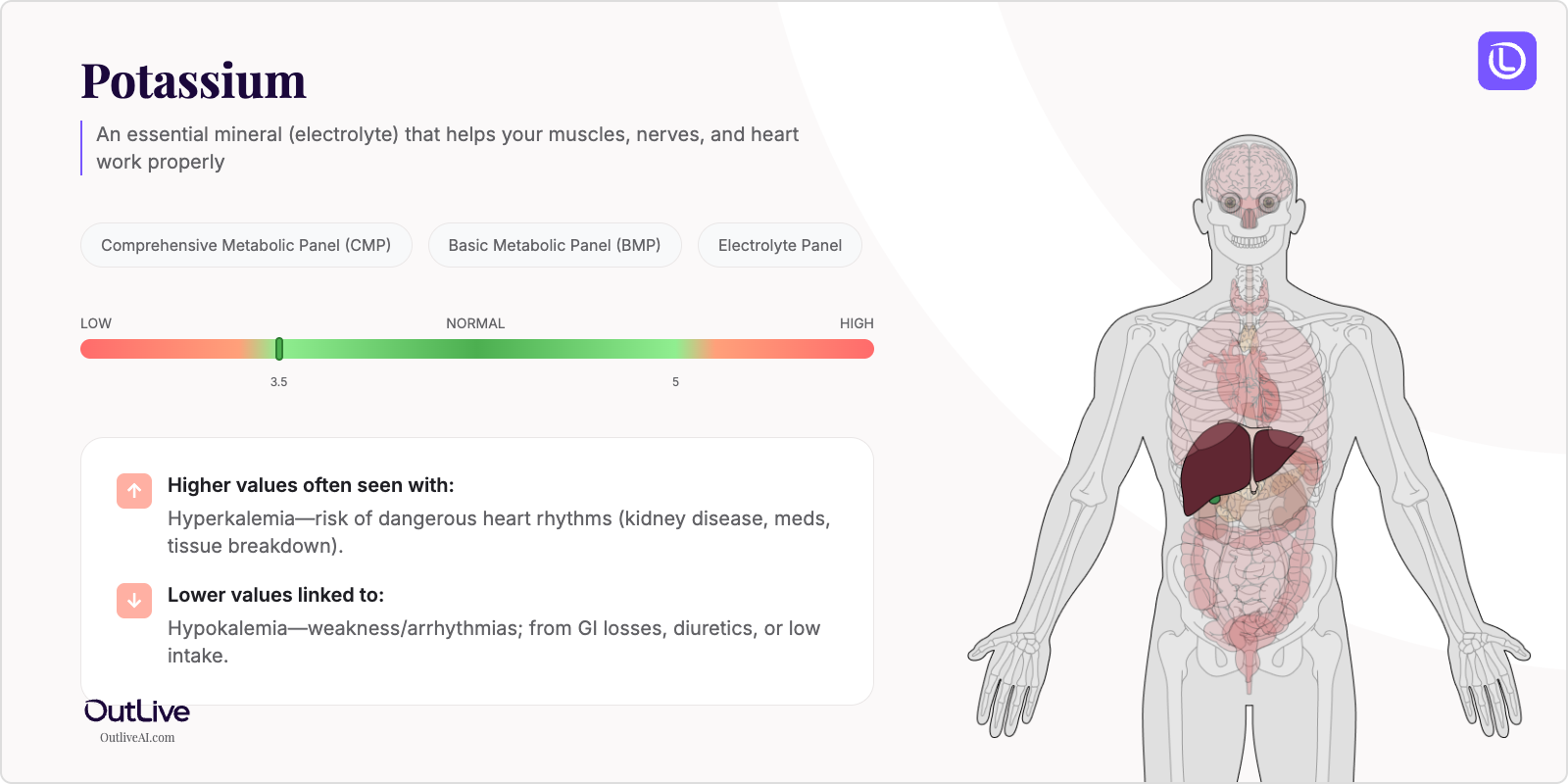 Understanding Your Potassium Test Results