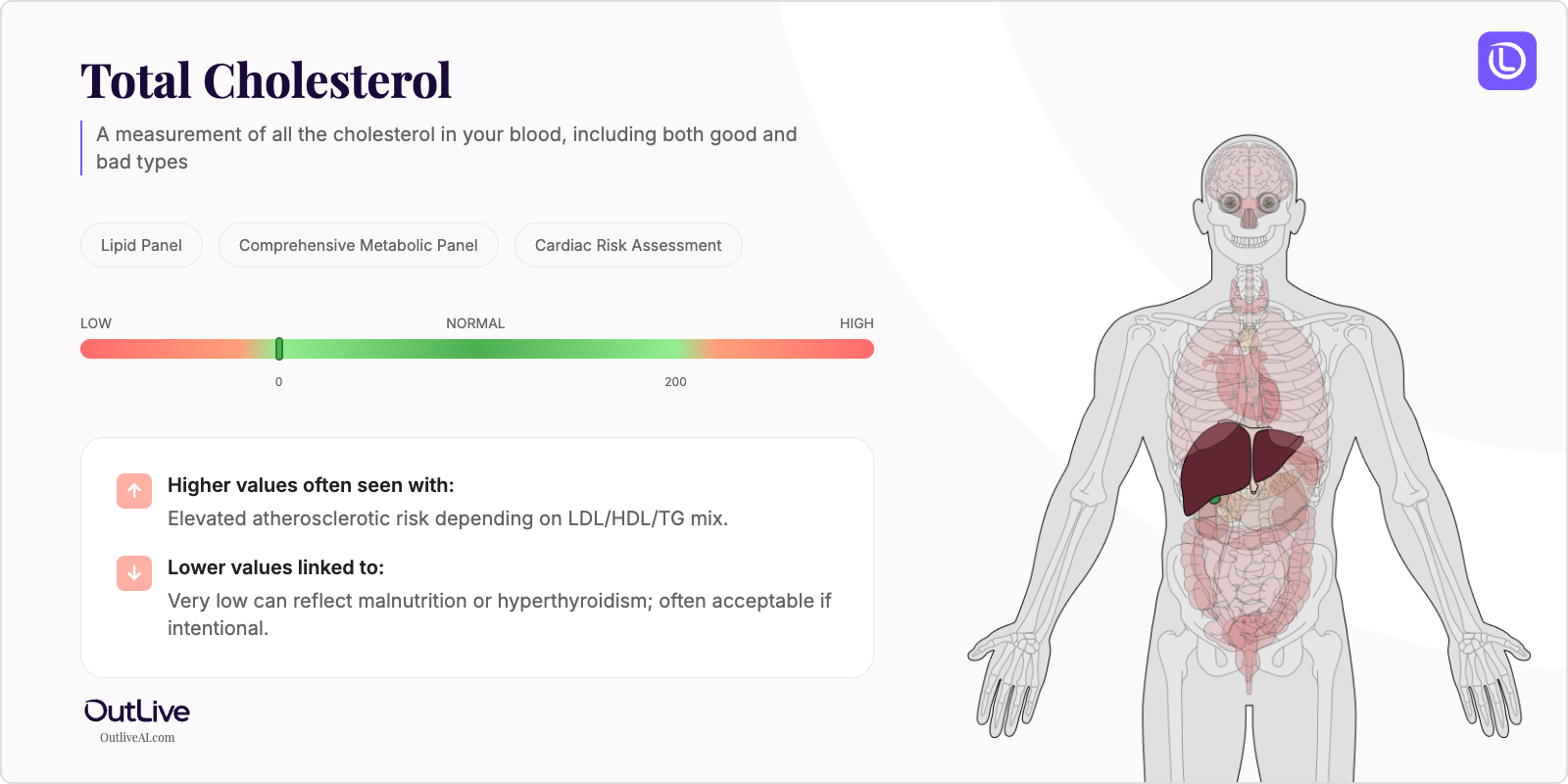 Understanding Your Total Cholesterol Test Results