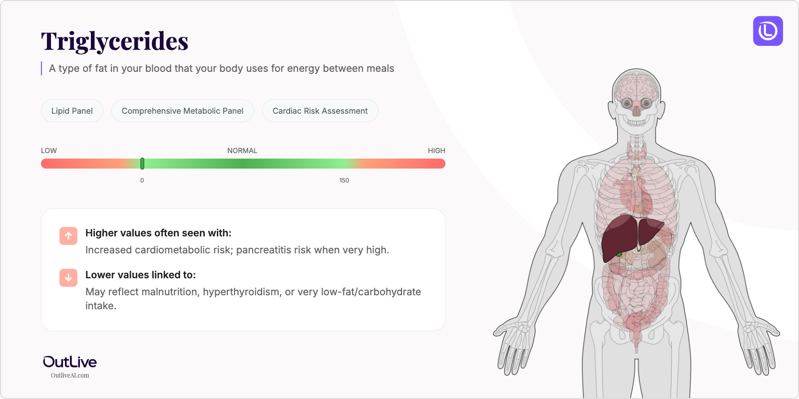 Understanding Your Triglycerides Test Results