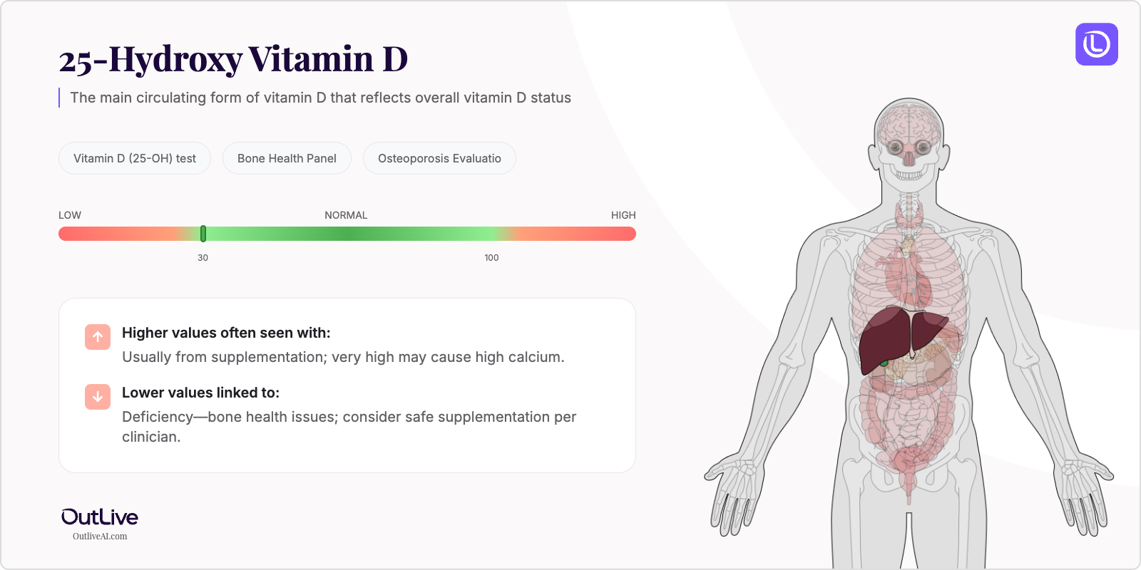 A Simple Guide to the Vitamin D Test