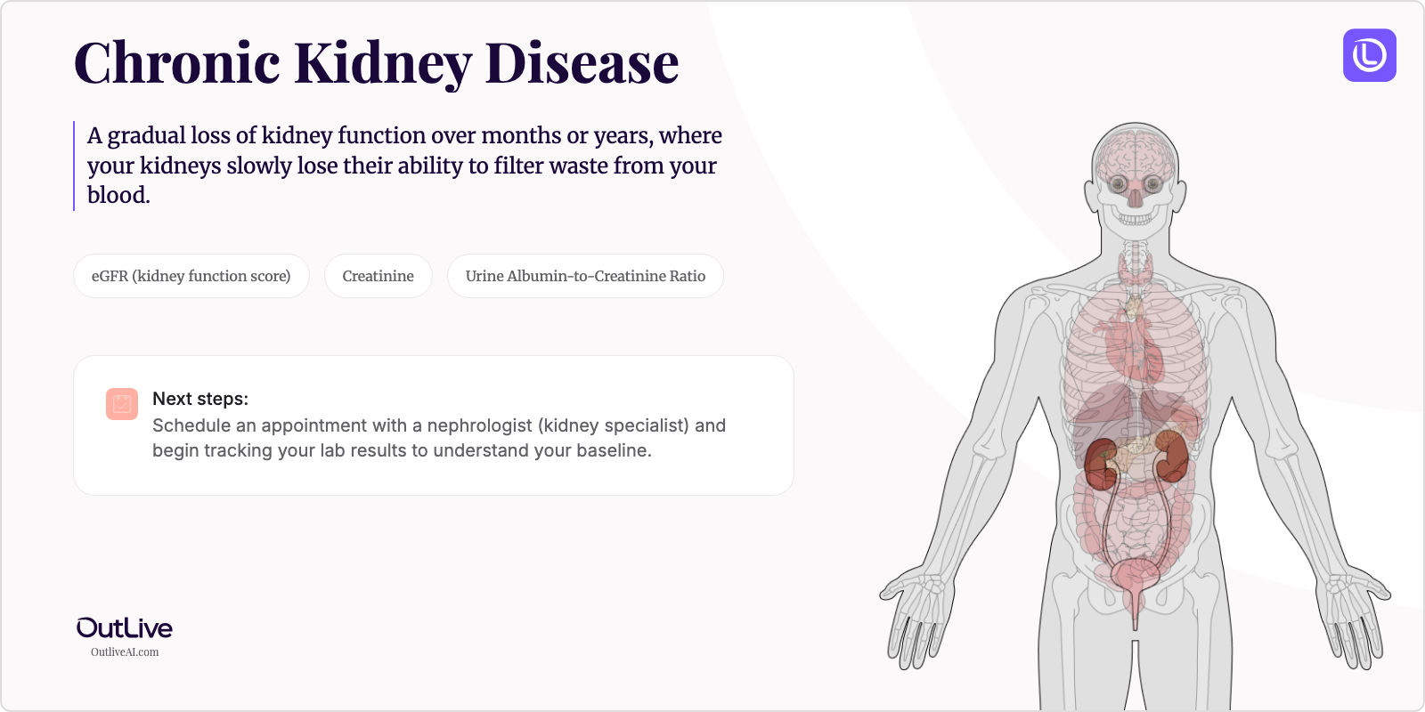 Just Diagnosed with Chronic Kidney Disease: A Simple Guide