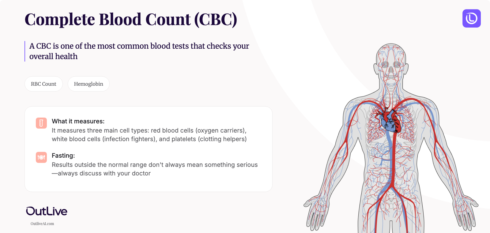 A Simple Guide to the Complete Blood Count (CBC) Test