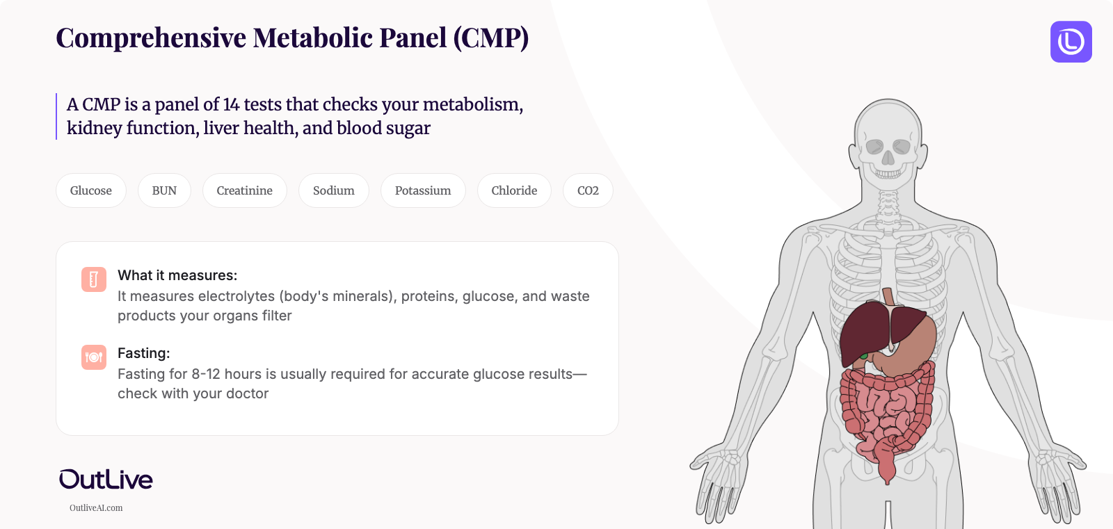 A Simple Guide to the Comprehensive Metabolic Panel (CMP) Test