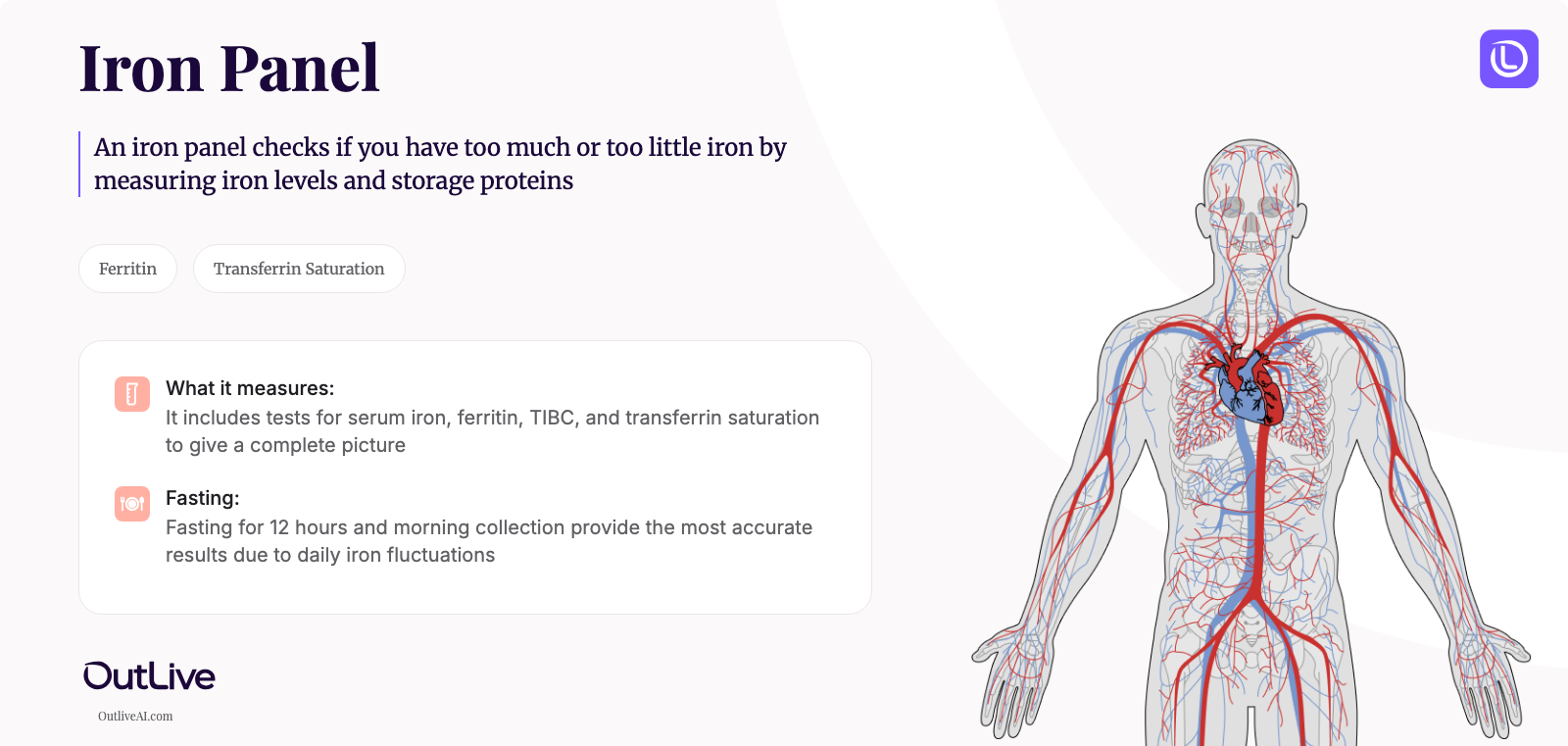 A Simple Guide to the Iron Panel Test