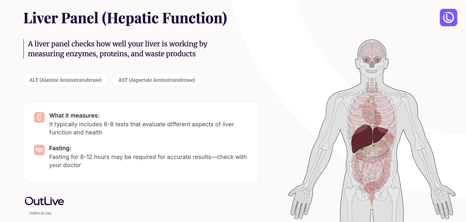 A Simple Guide to the Liver Panel (Hepatic Function Panel) Test