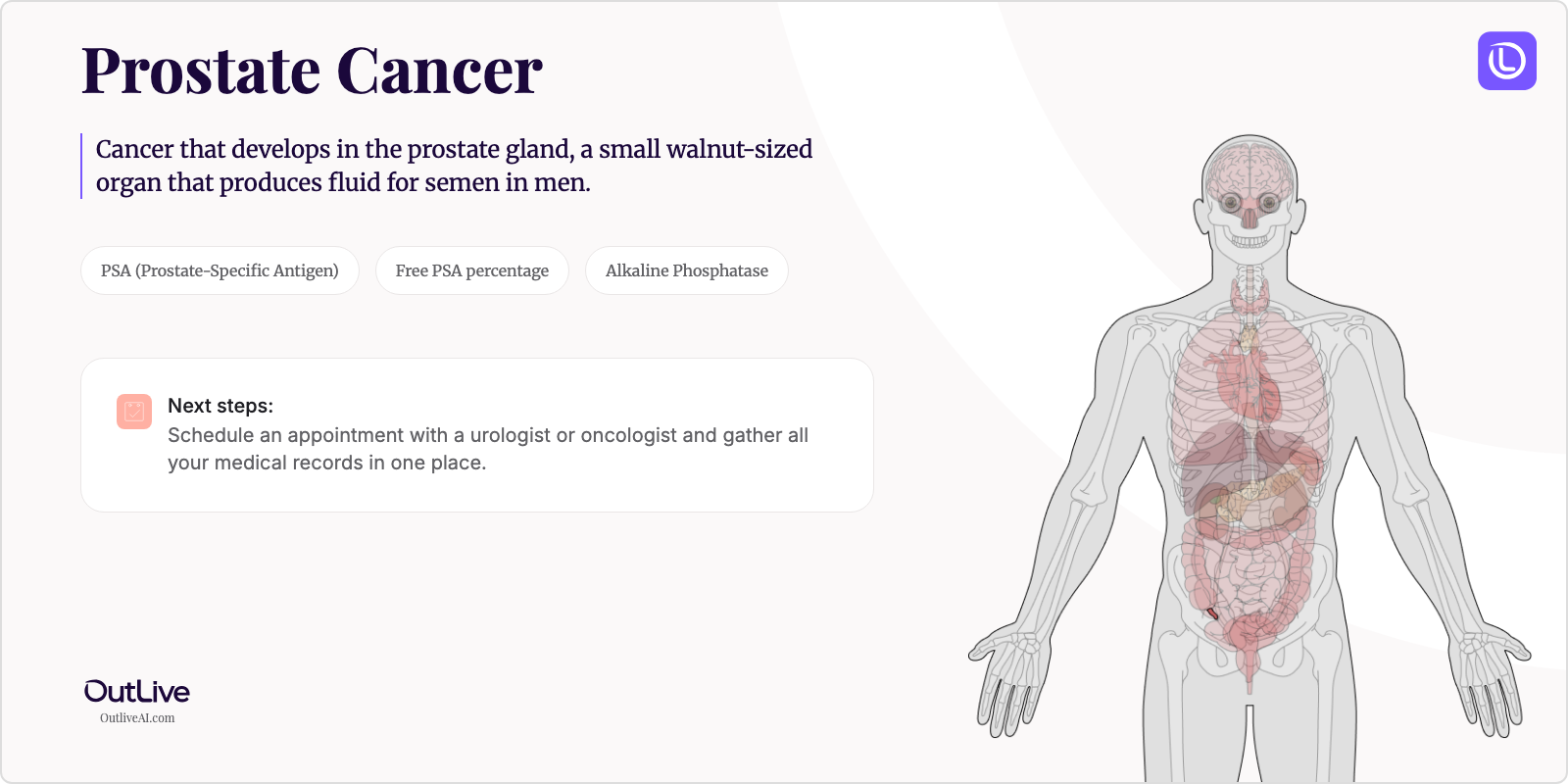 Just Diagnosed with Prostate Cancer: A Simple Guide