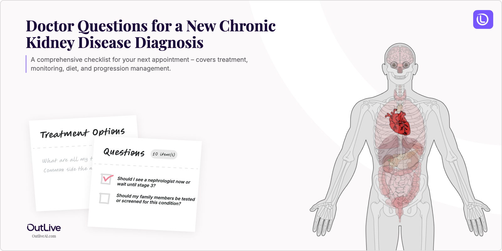 Essential Questions to Ask Your Doctor About Chronic Kidney Disease