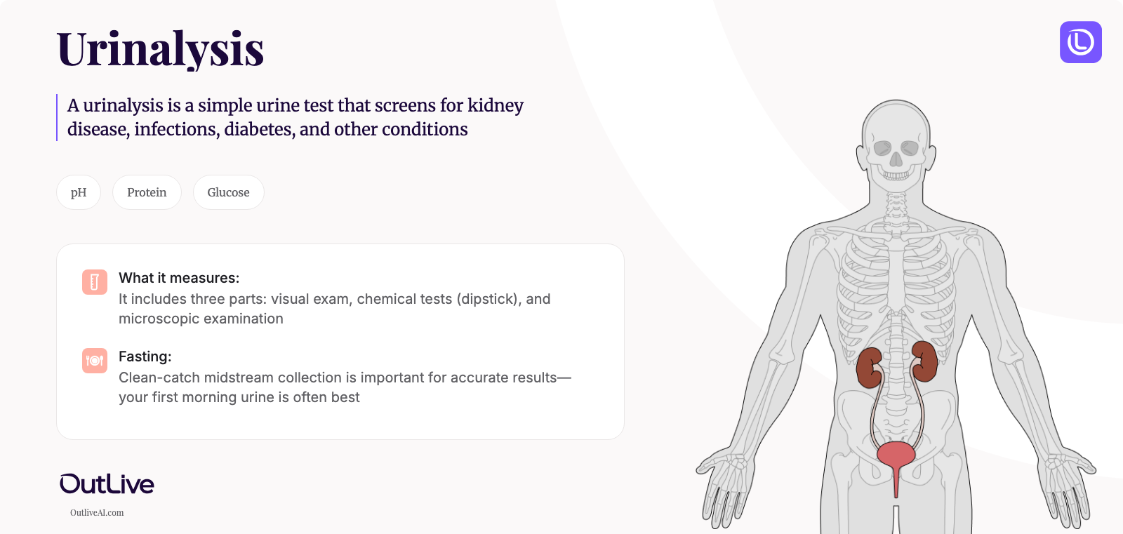A Simple Guide to the Urinalysis Test